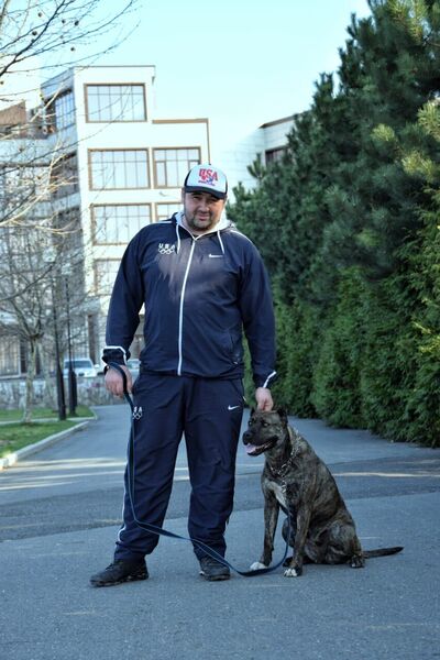  ,   David, 37 ,   ,   , c , 