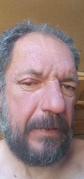  ,   Slavik, 51 ,   ,   , c , 