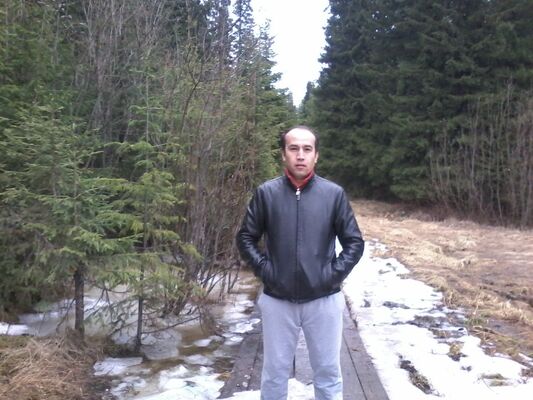 -,   , 37 ,   ,   , c 