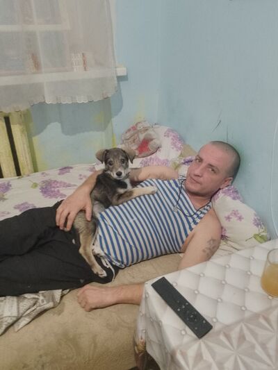   ,   , 44 ,   ,   