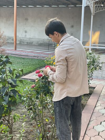  ,   , 20 ,   ,   