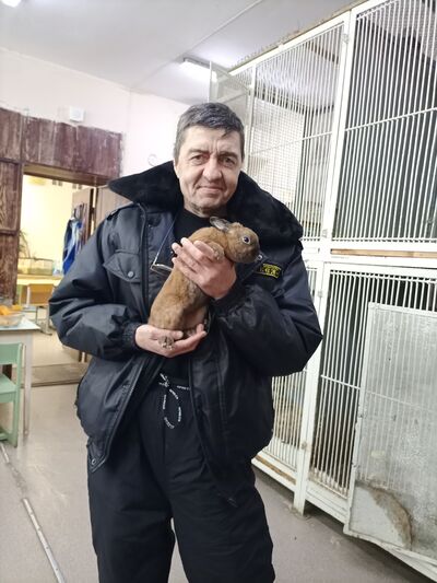  ,   , 58 ,   c , 