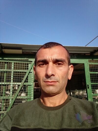  ,   , 43 ,   ,   , 