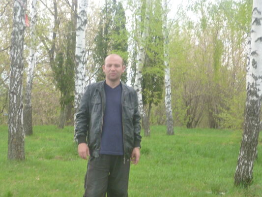  ,   Alekce, 40 ,   
