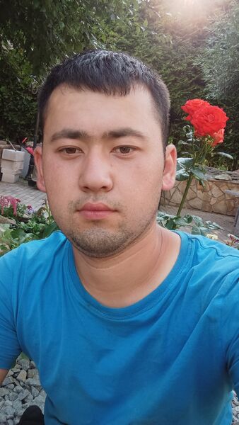  -,   , 33 ,   ,   , c , 