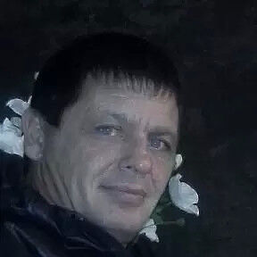  Novy,   , 56 ,   ,   , c 