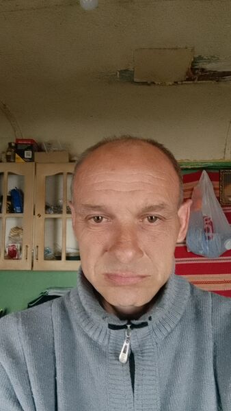   ,   , 41 ,   c , 