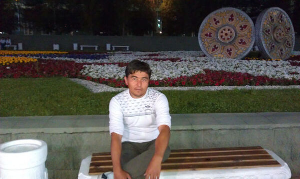  ,   , 43 ,   