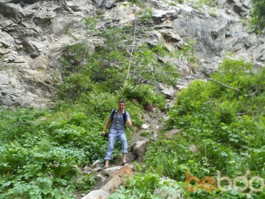 ���������� ������, ���� ������� ������, 38 ���, ������������ ��� ������, ����� � ���������, c�������� ���������