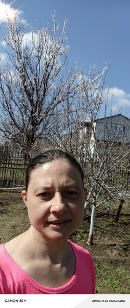  ,   , 40 ,   c , 
