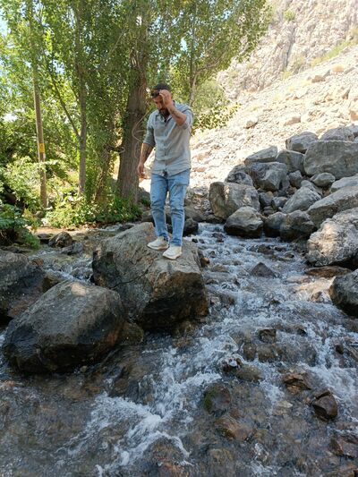  ,   Murvet, 32 ,   ,   