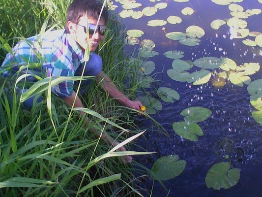  ,   Alek, 33 ,  