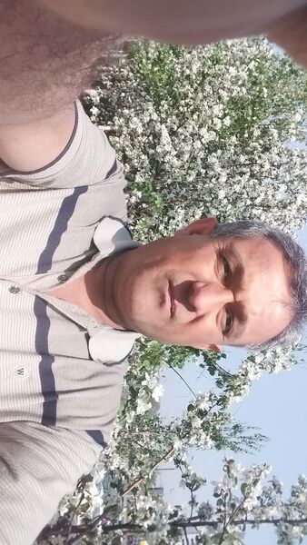 ,   Shakir, 55 ,     , c 