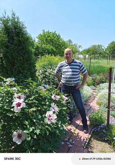  ,   Vladislav, 64 ,   c 