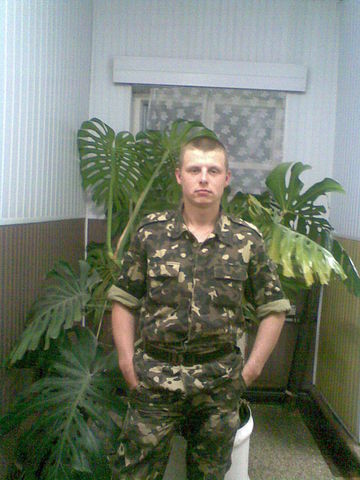  ,   , 33 ,   