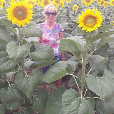  ,   , 57 ,     , c 