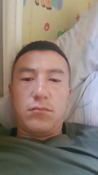  ,   Bobur, 24 ,   ,   , c , 