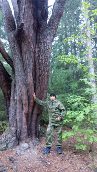  ,   , 42 ,   
