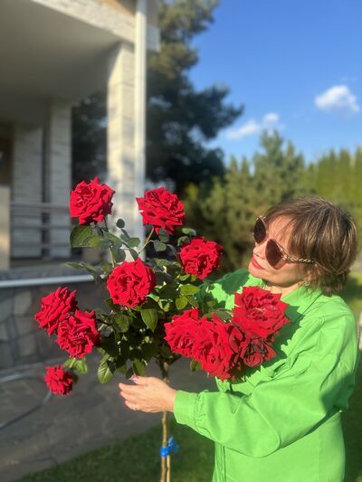  ,   , 56 ,   ,   