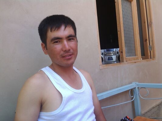  ,   Bek boss, 36 ,   ,   , c 