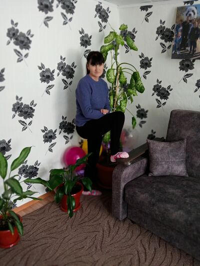  ,   , 51 ,   