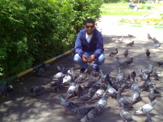  ,   Gor, 38 ,   