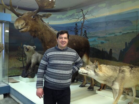  -,   , 53 ,   ,   , c 