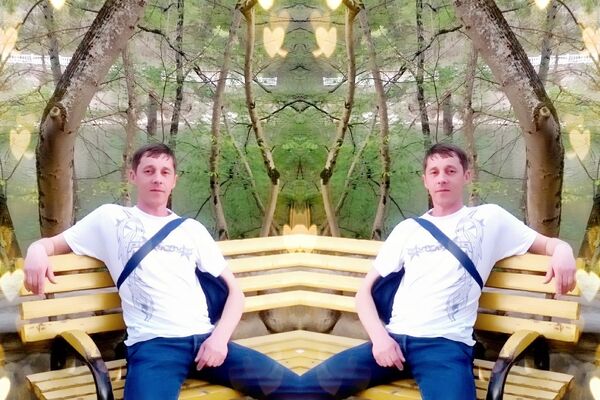  ,   , 46 ,  