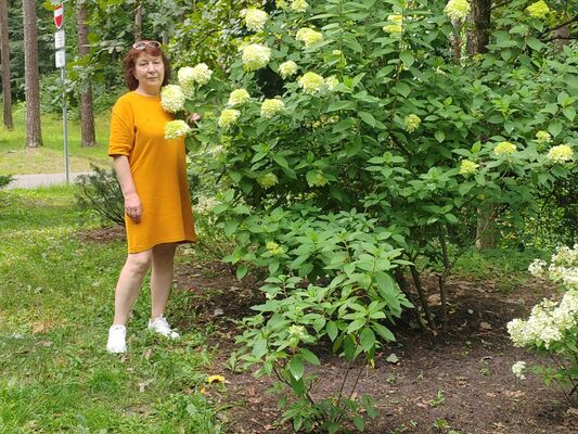  ,   , 63 ,   