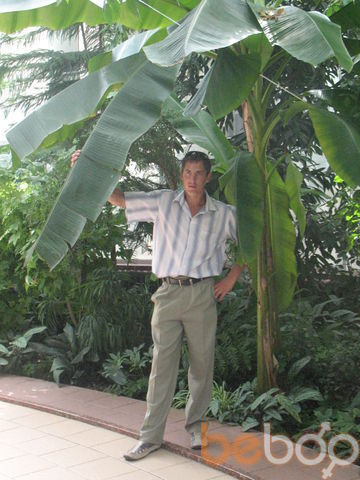  ,    2011, 41 ,  