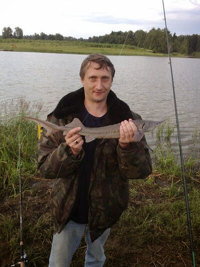  ,   Olezik, 53 ,   , 