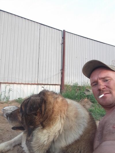  -,   , 39 ,   ,   , c , 