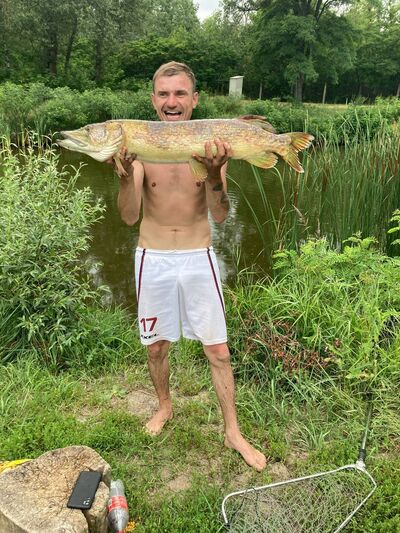  ,   Sasha, 41 ,   ,   