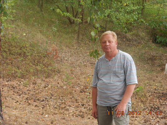  ,   , 61 ,  