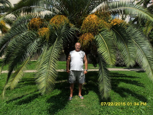  ,   , 62 ,     