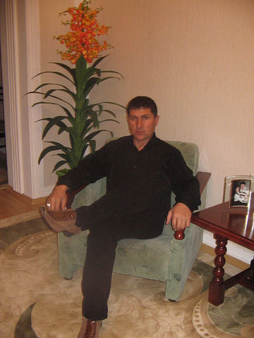  ,   , 58 ,   