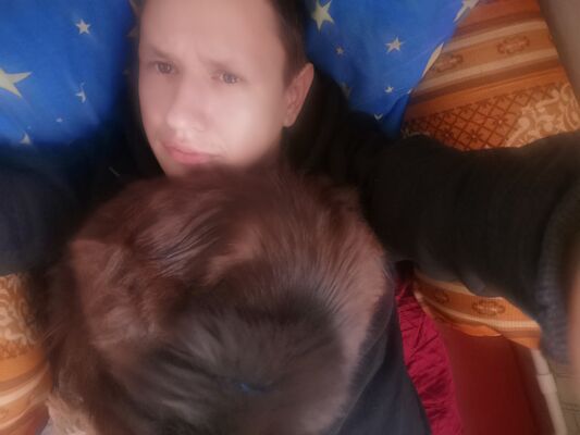  ,   , 29 ,   