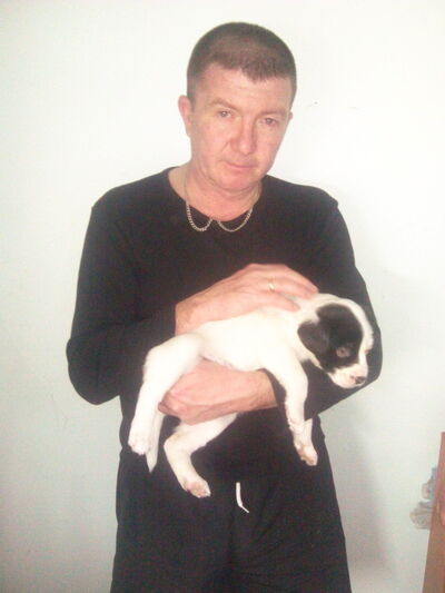  ,   , 52 ,   