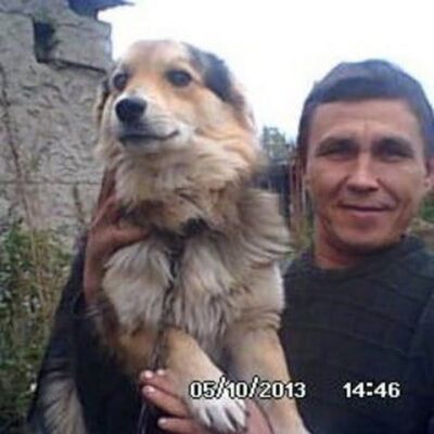  ,   , 44 ,   ,   