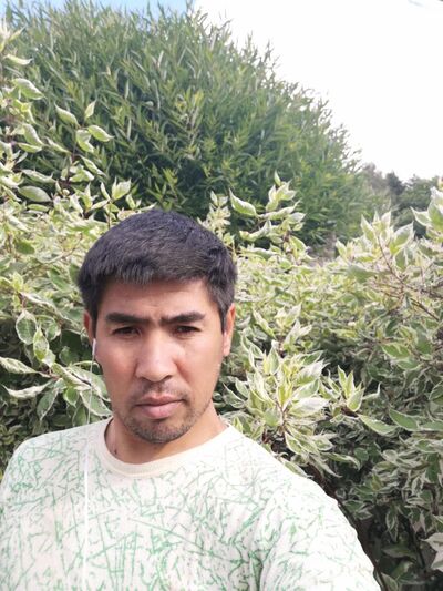  ,   kuzi, 42 ,   ,   