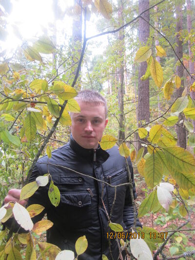  ,   Max, 40 ,   