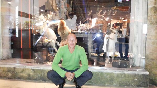  ,   Arhangel, 38 ,   