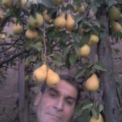  ,   Vahid, 59 ,   ,   , c 