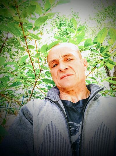  --,   Stipan, 41 ,   ,   , c 