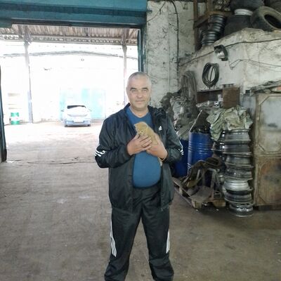  ,   , 53 ,   ,   