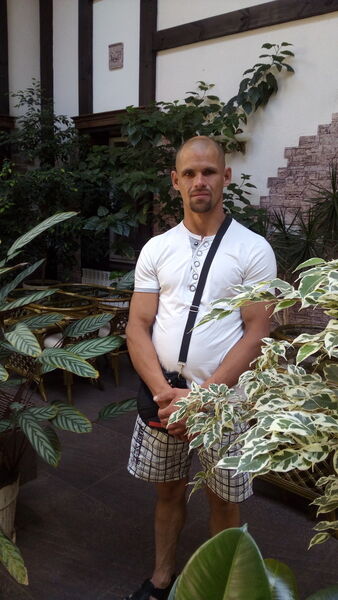  ,   , 38 ,     , c 