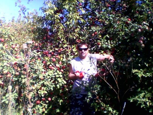  ,   , 52 ,   ,   , c 
