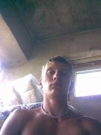  8552205  , 36 ,    