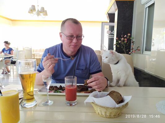  ,   , 51 ,   c , 