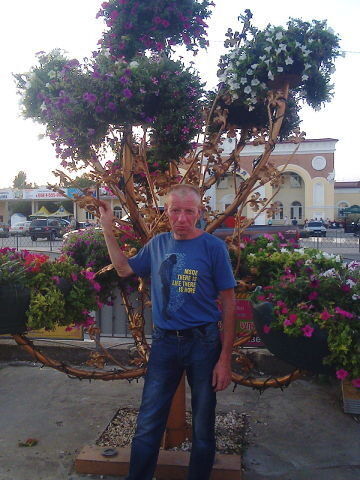  ,   , 51 ,   , 